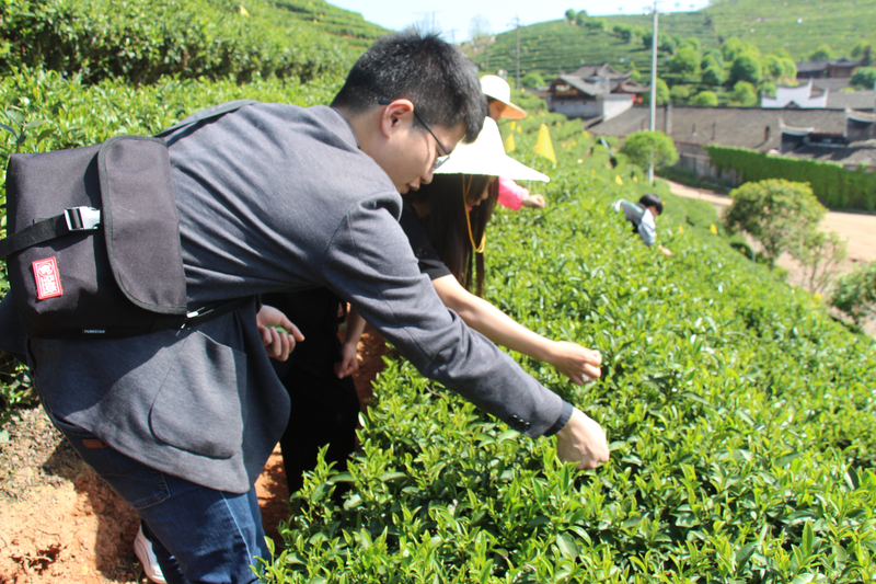 1524124393340004323.jpg 3.jpg