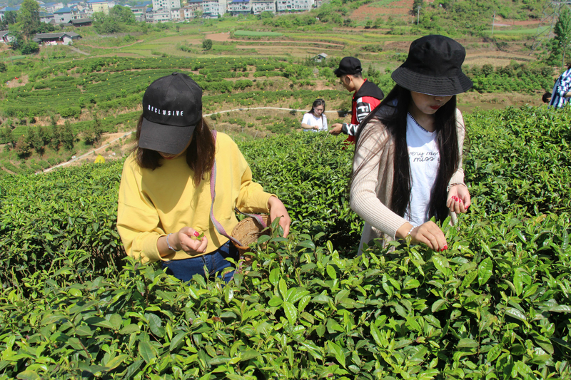 1524124593239005814.jpg 4_meitu_1.jpg