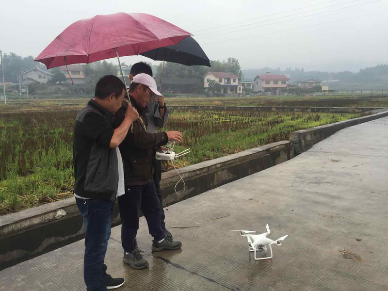 1539587844734064503.jpg 4.jpg