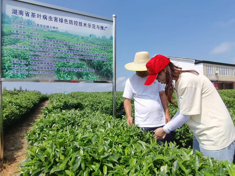 1666275497260008948.jpg 6.jpg